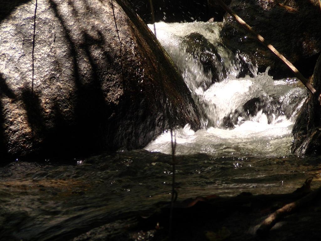 Ytororo O Som Das Aguas Araquari Exteriér fotografie