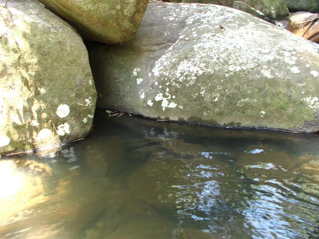 Ytororo O Som Das Aguas Araquari Exteriér fotografie