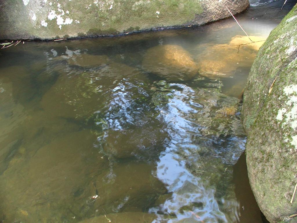 Ytororo O Som Das Aguas Araquari Exteriér fotografie